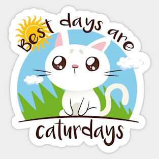 Best Days Are Caturdays Summer Sticker